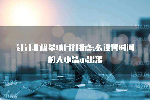 钉钉北极星项目打折怎么设置时间的大小显示出来