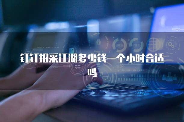 钉钉招采江湖多少钱一个小时合适吗