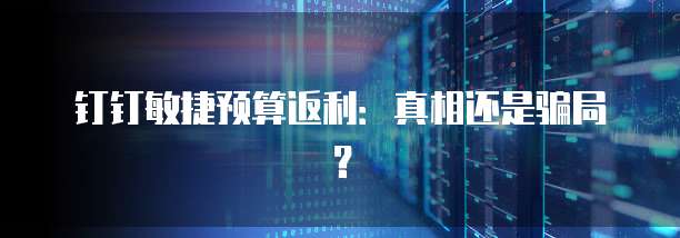 钉钉敏捷预算返利：真相还是骗局？
