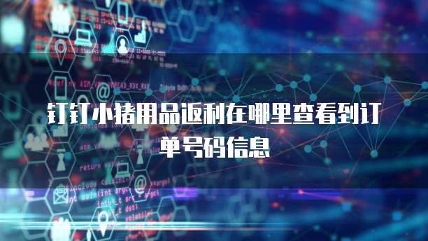 钉钉小猪用品返利在哪里查看到订单号码信息