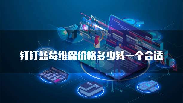 钉钉蓝莓维保价格多少钱一个合适