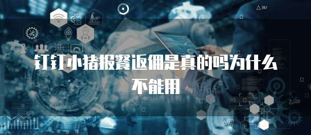 钉钉小猪报餐返佣是真的吗为什么不能用