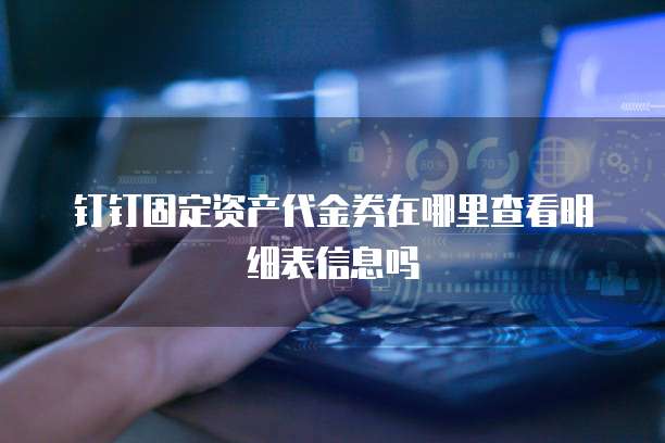 钉钉固定资产代金券在哪里查看明细表信息吗