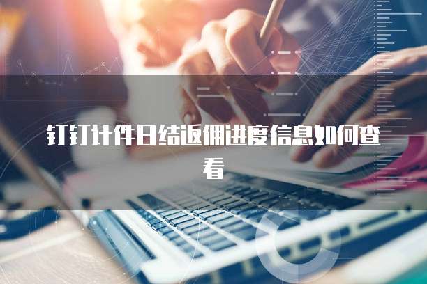 钉钉计件日结返佣进度信息如何查看