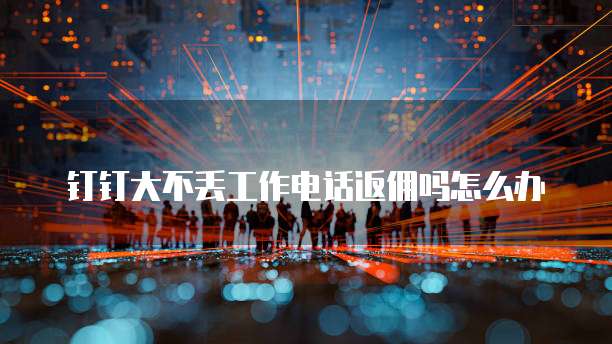 钉钉大不丢工作电话返佣吗怎么办