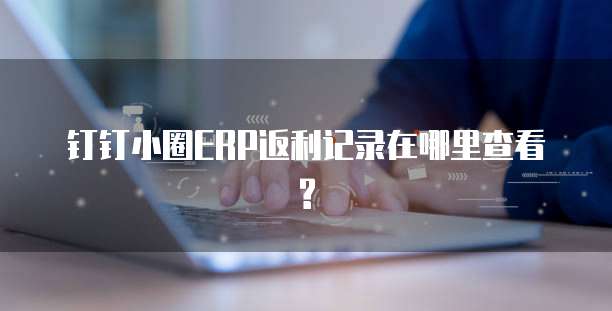钉钉小圈ERP返利记录在哪里查看?