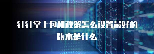 钉钉掌上包机政策怎么设置最好的版本是什么