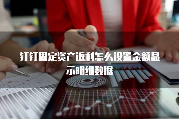 钉钉固定资产返利怎么设置金额显示明细数据