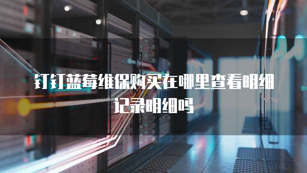 钉钉蓝莓维保购买在哪里查看明细记录明细吗