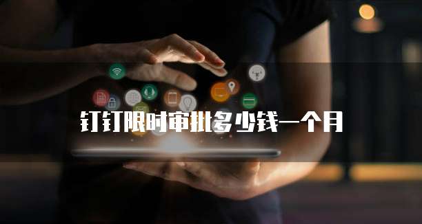 钉钉限时审批多少钱一个月
