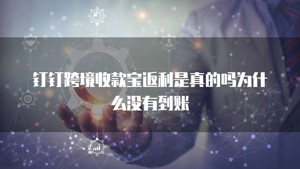 钉钉跨境收款宝返利是真的吗为什么没有到账