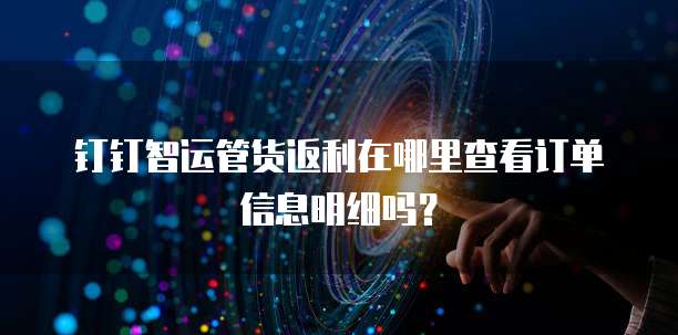 钉钉智运管货返利在哪里查看订单信息明细吗?