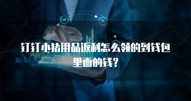 钉钉小猪用品返利怎么领的到钱包里面的钱?