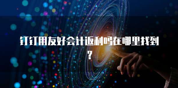 钉钉用友好会计返利吗在哪里找到?