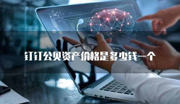 钉钉公贝资产价格是多少钱一个