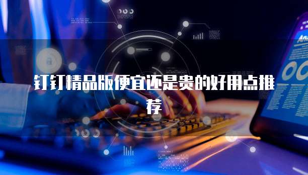 钉钉精品版便宜还是贵的好用点推荐