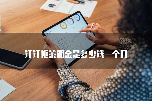 钉钉枢策佣金是多少钱一个月