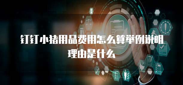 钉钉小猪用品费用怎么算举例说明理由是什么