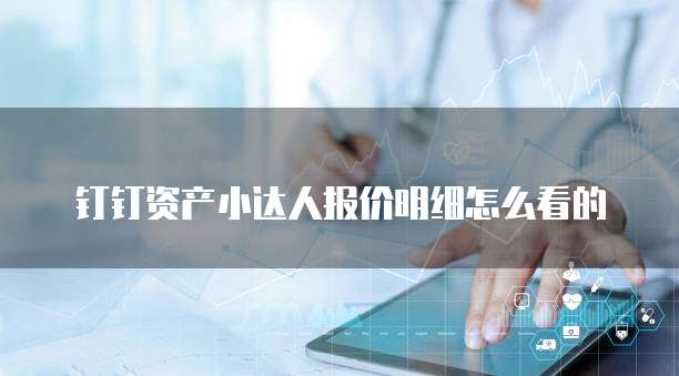 钉钉资产小达人报价明细怎么看的