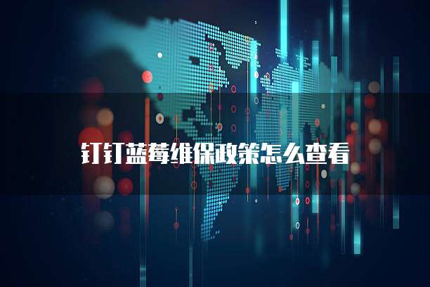 钉钉蓝莓维保政策怎么查看