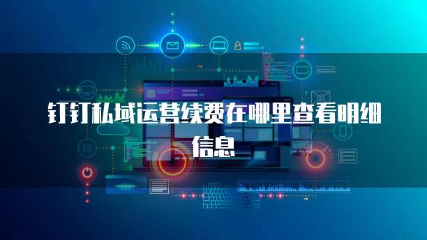 钉钉私域运营续费在哪里查看明细信息