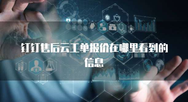 钉钉售后云工单报价在哪里看到的信息