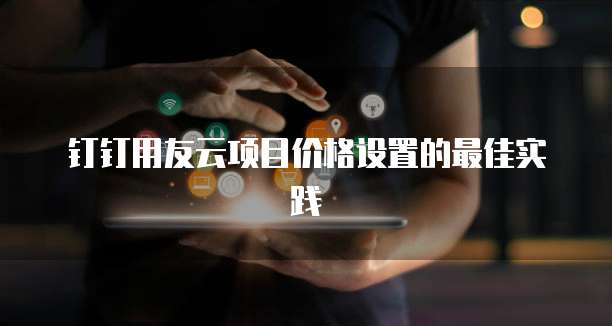 钉钉用友云项目价格设置的最佳实践