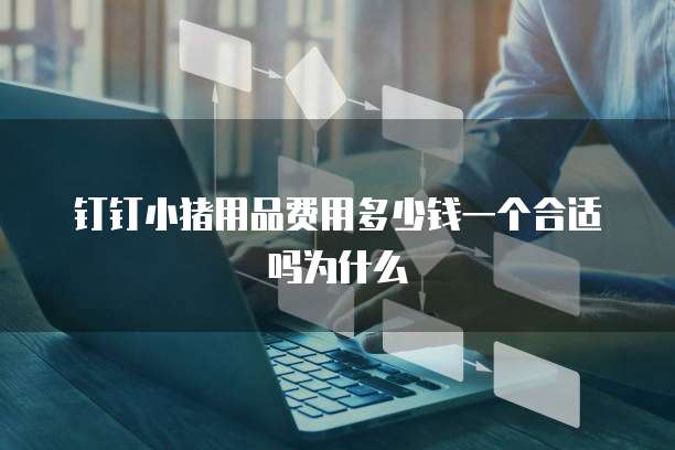 钉钉小猪用品费用多少钱一个合适吗为什么