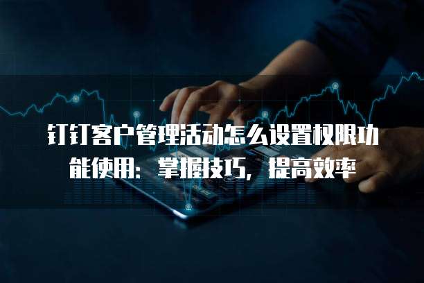 钉钉客户管理活动怎么设置权限功能使用：掌握技巧，提高效率