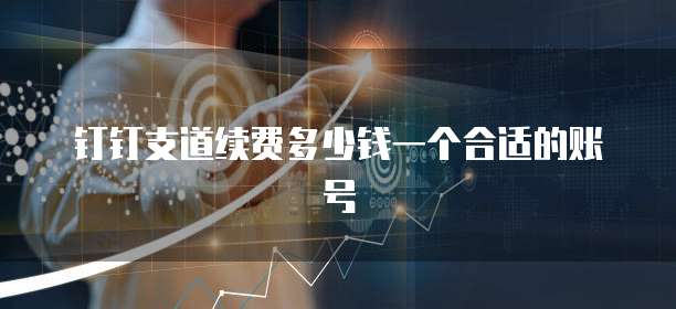 钉钉支道续费多少钱一个合适的账号
