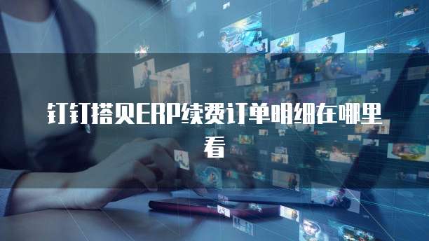 钉钉搭贝ERP续费订单明细在哪里看