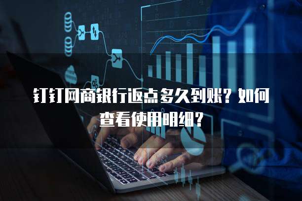 钉钉网商银行返点多久到账？如何查看使用明细？