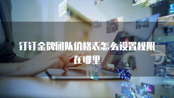 钉钉金牌团队价格表怎么设置权限在哪里