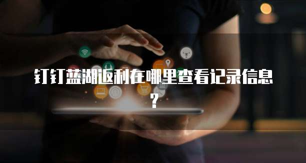 钉钉蓝湖返利在哪里查看记录信息？