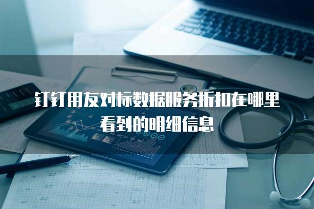 钉钉用友对标数据服务折扣在哪里看到的明细信息