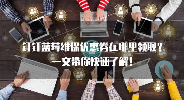 钉钉蓝莓维保优惠券在哪里领取?一文带你快速了解!