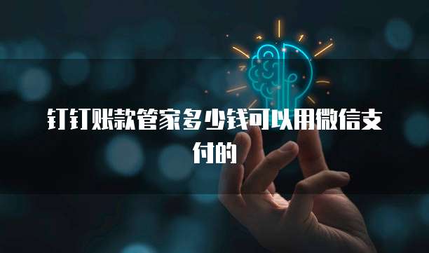 钉钉账款管家多少钱可以用微信支付的