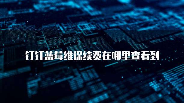 钉钉蓝莓维保续费在哪里查看到