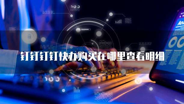 钉钉钉钉快办购买在哪里查看明细