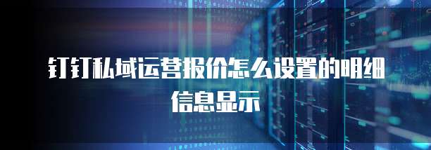 钉钉私域运营报价怎么设置的明细信息显示