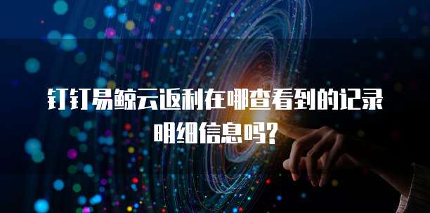 钉钉易鲸云返利在哪查看到的记录明细信息吗?