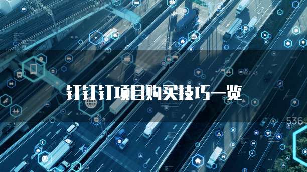 钉钉钉项目购买技巧一览