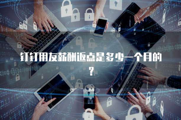 钉钉用友薪酬返点是多少一个月的？
