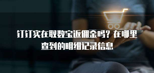 钉钉实在取数宝返佣金吗？在哪里查到的明细记录信息