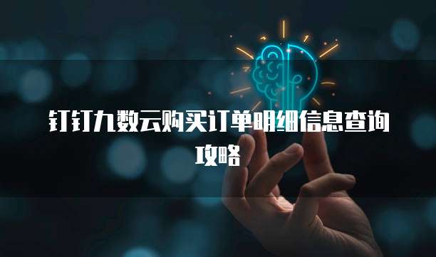 钉钉九数云购买订单明细信息查询攻略