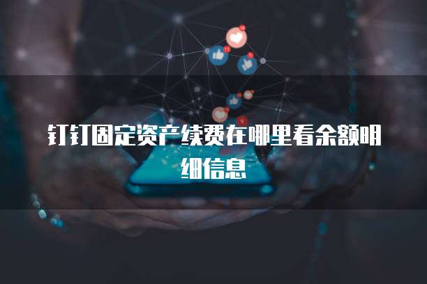 钉钉固定资产续费在哪里看余额明细信息