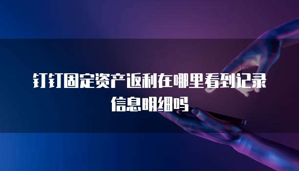 钉钉固定资产返利在哪里看到记录信息明细吗