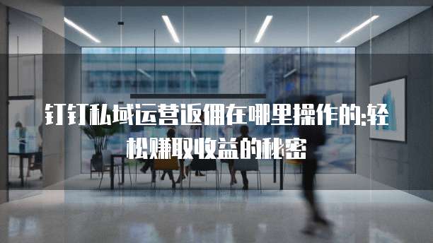 钉钉私域运营返佣在哪里操作的:轻松赚取收益的秘密