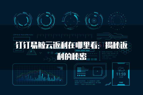 钉钉易鲸云返利在哪里看:揭秘返利的秘密