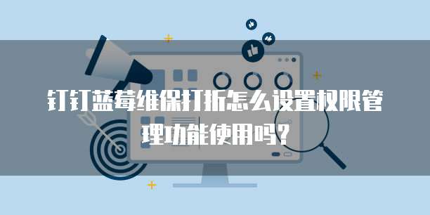 钉钉蓝莓维保打折怎么设置权限管理功能使用吗？